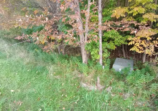 Photo 4 of Land for sale at Lots 60-61 Huntington Cir, Gladwin, MI 48624 | MLS# 50209474 | Listing updated on 2026-05-29