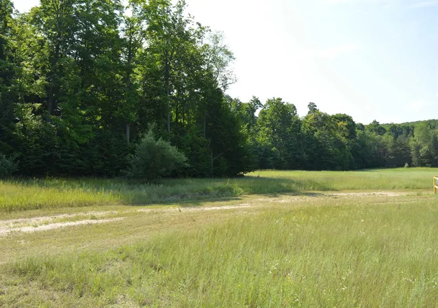 49th image of 7573 Alden Hwy, Bellaire, MI 49615 | MLS# 80059283