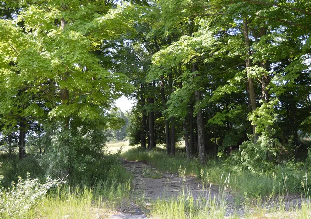 4th image of 7573 Alden Hwy, Bellaire, MI 49615 | MLS# 80059283