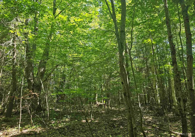 11th image of Tbd Parcel M14 Applewood Dr, Houghton, MI 49931 | MLS# 50214717