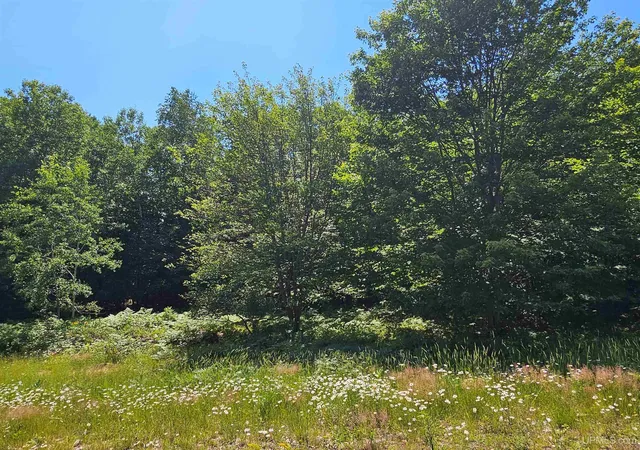 1st image of Tbd Parcel M14 Applewood Dr, Houghton, MI 49931 | MLS# 50214717