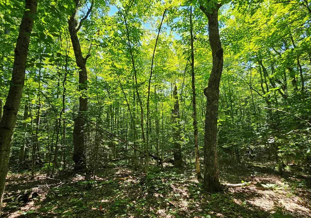 2nd image of Tbd Parcel M14 Applewood Dr, Houghton, MI 49931 | MLS# 50214717