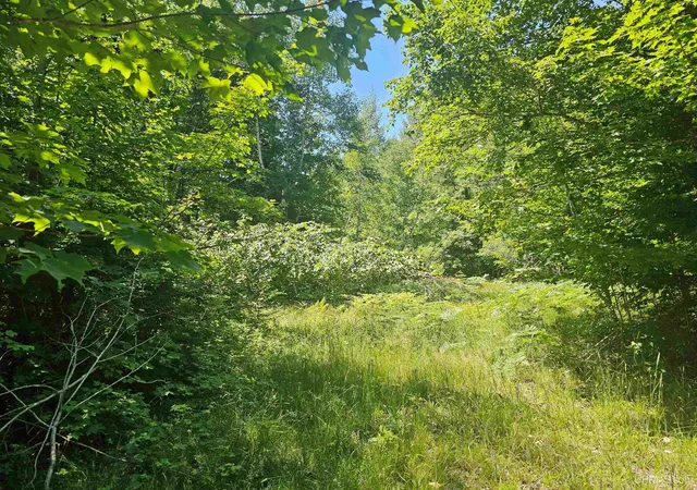 4th image of Tbd Parcel M14 Applewood Dr, Houghton, MI 49931 | MLS# 50214717