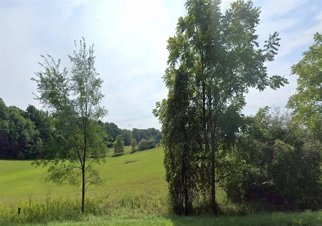 3rd image of 0 Joy Rd, Dexter, MI 48130 | MLS# 70489266