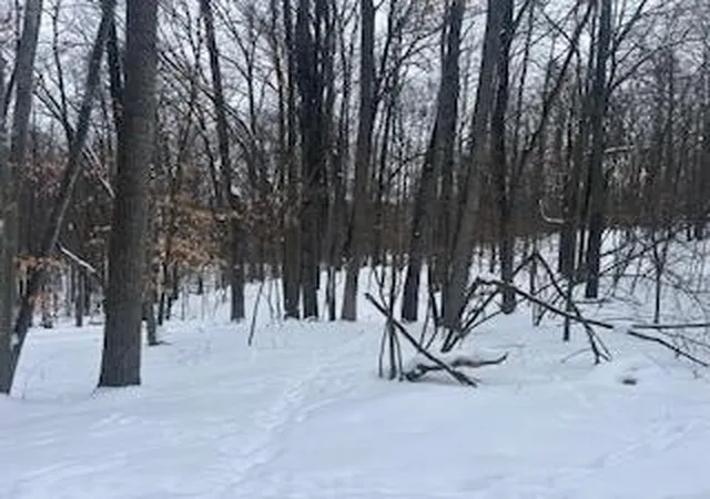 1st image of 9980 Red Deer Ct, Canadian Lakes, MI 49346 | MLS# 70513853