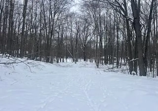 2nd image of 9980 Red Deer Ct, Canadian Lakes, MI 49346 | MLS# 70513853