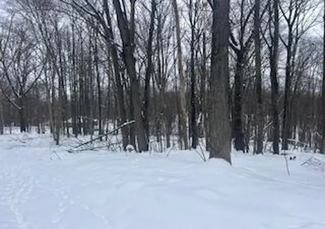 Photo 3 of Land for sale at 9980 Red Deer Ct, Canadian Lakes, MI 49346 | MLS# 70513853 | Listing updated on 2026-02-07