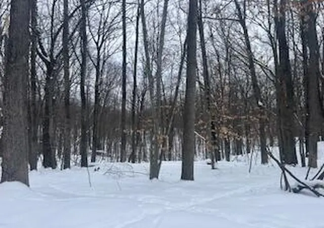 4th image of 9980 Red Deer Ct, Canadian Lakes, MI 49346 | MLS# 70513853