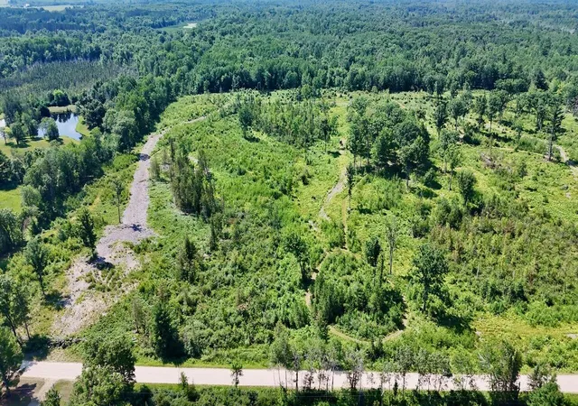 Photo 3 of Land for sale at 20ac W Clarence Rd, Harrison, MI 48625 | MLS# 70545408 | Listing updated on 2026-08-06
