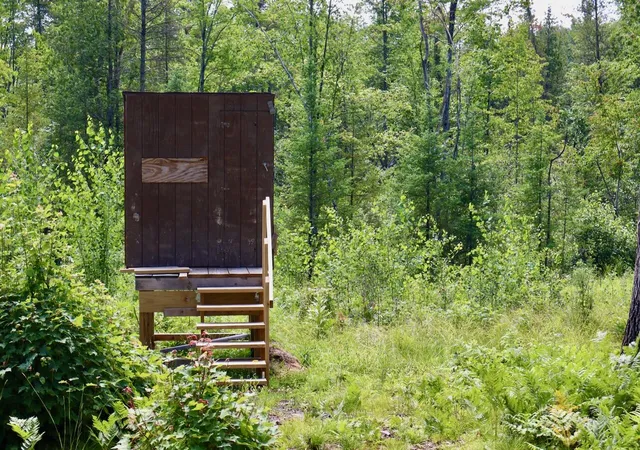 Photo 4 of Land for sale at 20ac W Clarence Rd, Harrison, MI 48625 | MLS# 70545408 | Listing updated on 2026-10-06