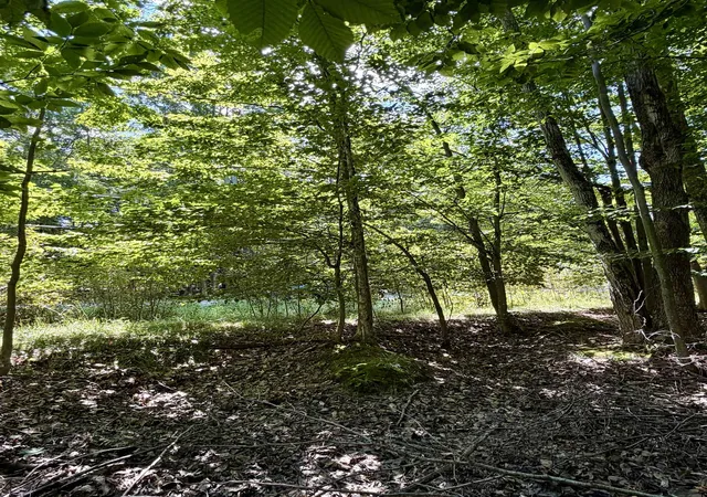 Photo 3 of Land for sale at 00 Shawnee Trl, Kewadin, MI 49648 | MLS# 80072764 | Listing updated on 2026-10-05