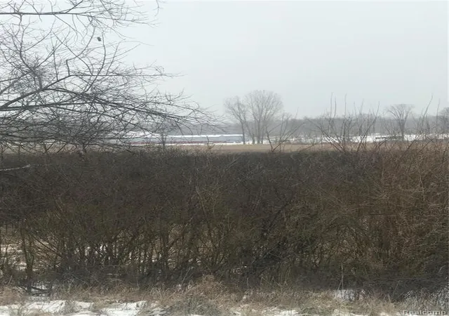 Homes for sale in Pinckney, MI | Vl Hinchey Rd, Pinckney, MI 48169 | MLS# 60969497