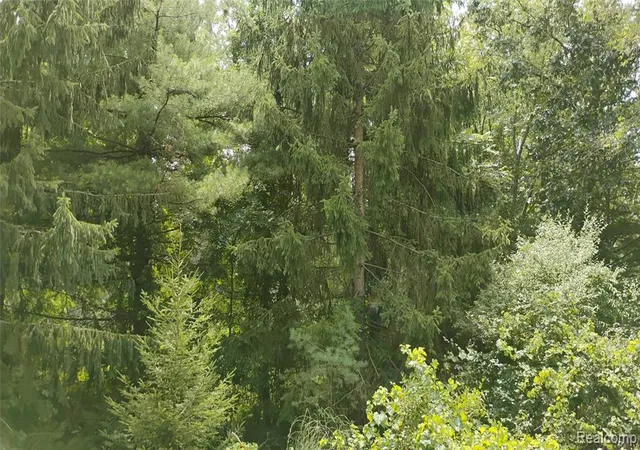 Photo 12 of Land for sale at 000 Middle Parc Middle Rd, Highland, MI 48357 | MLS# 60991729 | Listing updated on 2026-08-24