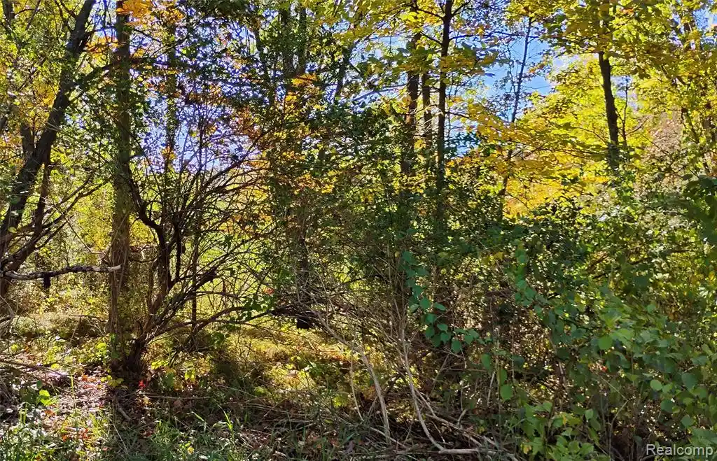 Photo 1 of Land for sale at 000 Middle Parc Middle Rd, Highland, MI 48357 | MLS# 60991729 | Listing updated on 2026-10-23