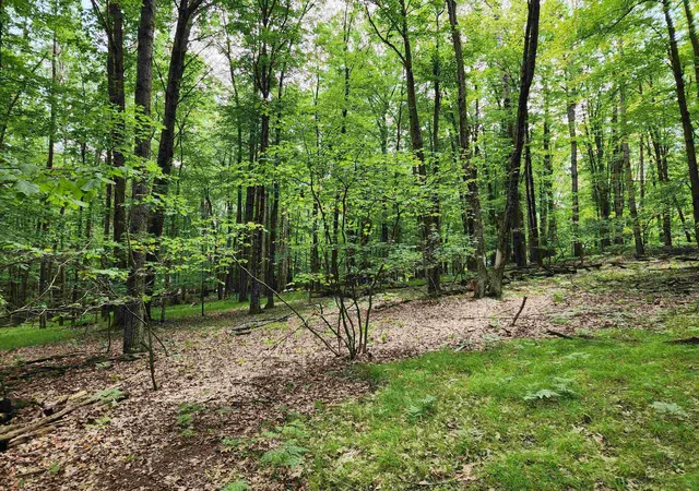 Photo 3 of Land for sale at 2145 Elkhorn Way, Farwell, MI 48622 | MLS# 50213522 | Listing updated on 2026-07-01