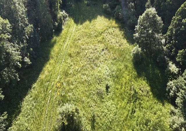 Photo 1 of Land for sale at V/l Woods Rd, Sidney, MI 48885 | MLS# 70543986 | Listing updated on 2026-08-14