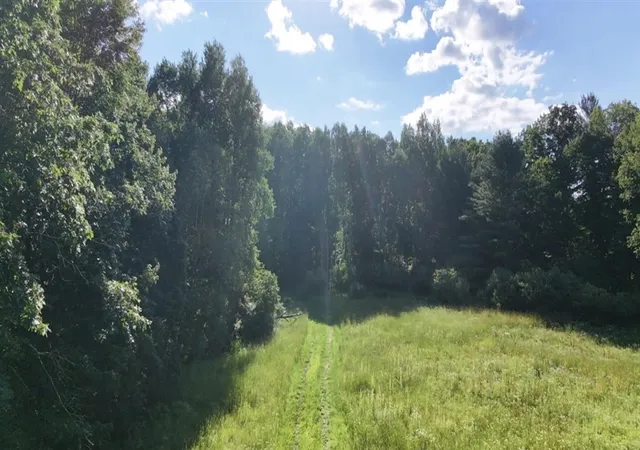 Photo 2 of Land for sale at V/l Woods Rd, Sidney, MI 48885 | MLS# 70543986 | Listing updated on 2026-08-14
