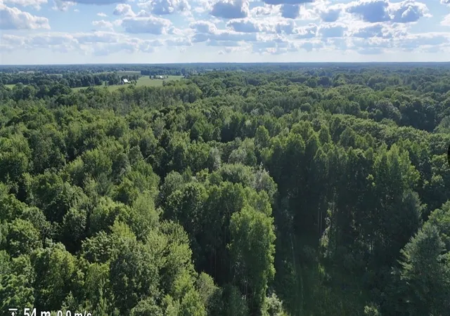 Photo 3 of Land for sale at V/l Woods Rd, Sidney, MI 48885 | MLS# 70543986 | Listing updated on 2026-08-14