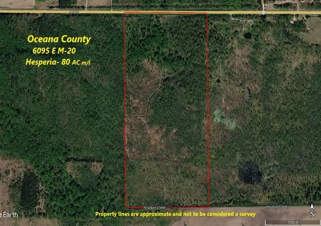 Homes for sale in Hesperia, MI | 6095 E M 20, Hesperia, MI 49421 | MLS# 70515361