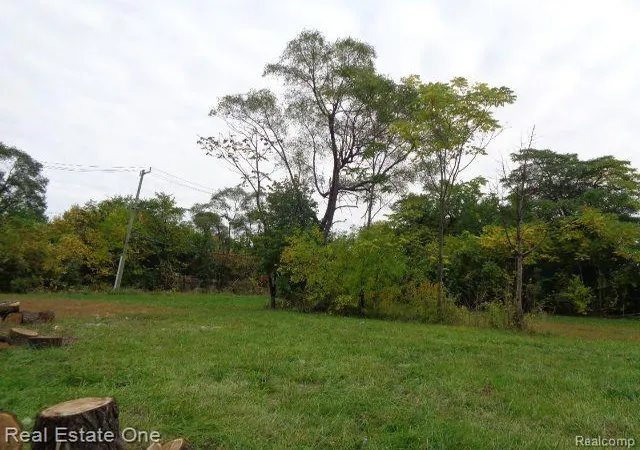 Photo 2 of Land for sale at 5266 Linwood St, Detroit, MI 48208 | MLS# 60260707 | Listing updated on 2026-07-06