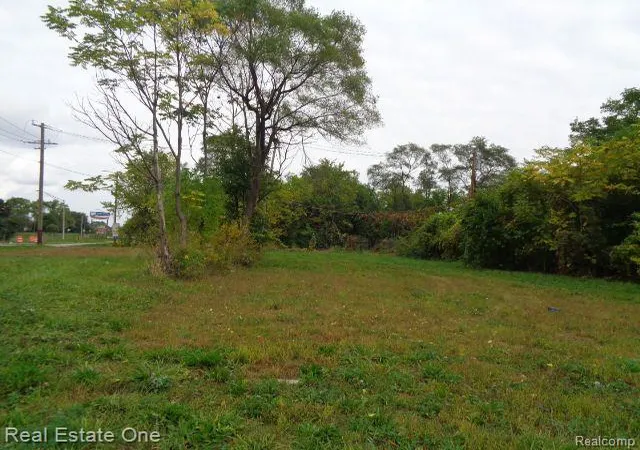 Photo 3 of Land for sale at 5266 Linwood St, Detroit, MI 48208 | MLS# 60260707 | Listing updated on 2026-07-06