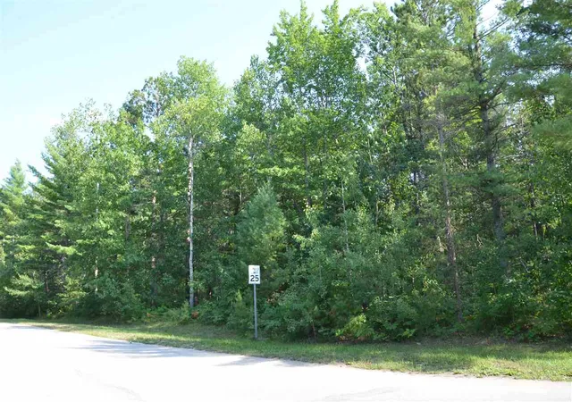 3rd image of Off W Log Lake Rd, Kalkaska, MI 49646 | MLS# 80072487