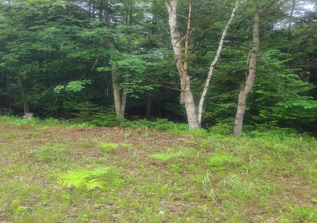 Homes for sale in Oscoda, MI | 00 W Woodlea Rd, Oscoda, MI 48750 | MLS# 80070689