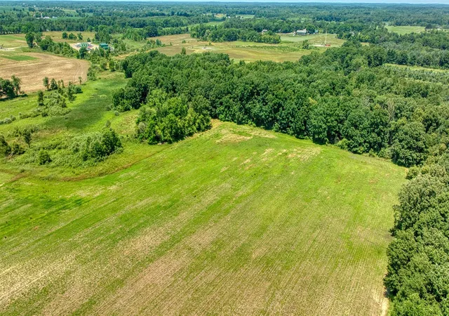 Photo 4 of Land for sale at 8896 Case Rd, Brooklyn, MI 49230 | MLS# 70481291 | Listing updated on 2026-04-09
