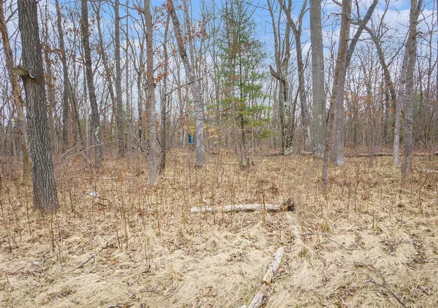 Homes for sale in Bitely, MI | V/l N Woodbridge Rd, Bitely, MI 49309 | MLS# 70528473