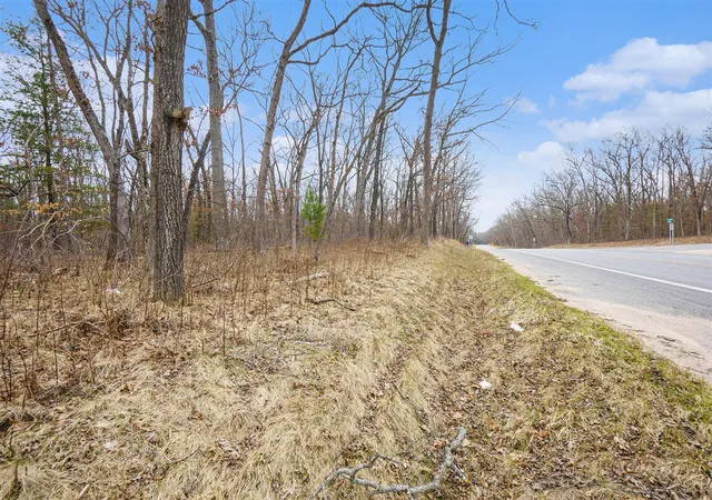 Homes for sale in Bitely, MI | V/L N Woodbridge Rd, Bitely, MI 49309 | MLS# 70528473