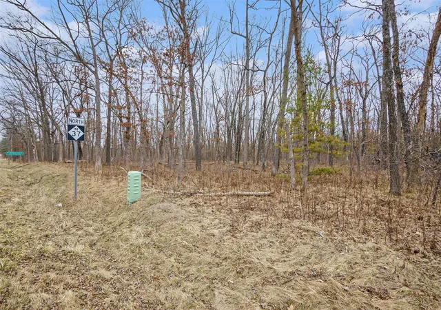 Homes for sale in Bitely, MI | V/L N Woodbridge Rd, Bitely, MI 49309 | MLS# 70528473