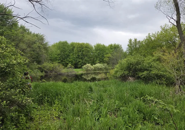 5th image of V/L Michigan 40, Paw Paw, MI 49079 | MLS# 70530277