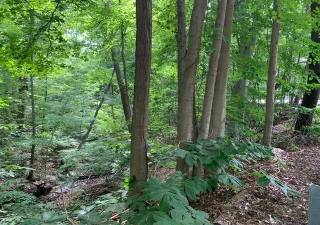 2nd image of 00 Red Arrow Hwy, Harbert, MI 49115 | MLS# 70500335