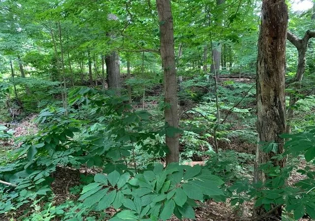Photo 3 of Sale Pending at 00 Red Arrow Hwy, Harbert, MI 49115 | MLS# 70500335 | Listing updated on 2025-10-21