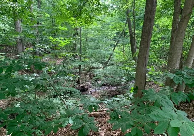 4th image of 00 Red Arrow Hwy, Harbert, MI 49115 | MLS# 70500335