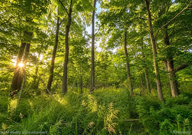 Photo 4 of Land for sale at 26652 Power Rd, Farmington Hills, MI 48334 | MLS# 61010837 | Listing updated on 2026-08-16