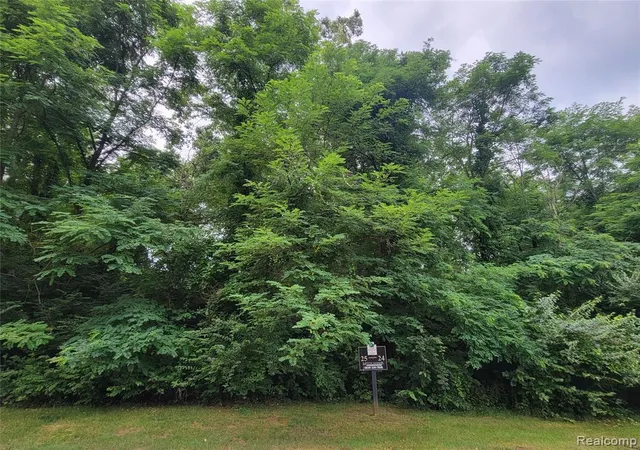 Photo 3 of Land for sale at Lot 25   Rexford, Brighton, MI 48116 | MLS# 20682076 | Listing updated on 2026-07-06