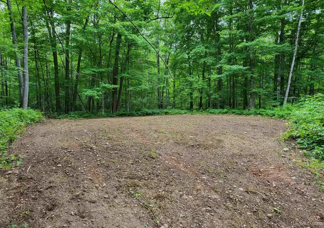 2nd image of Tbd Dream Lake Rd Lot 7 Rd, Tipler Wi, WI 54542 | MLS# 50210032