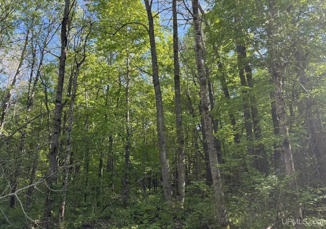 4th image of Tbd Dream Lake Rd Lot 7 Rd, Tipler Wi, WI 54542 | MLS# 50210032