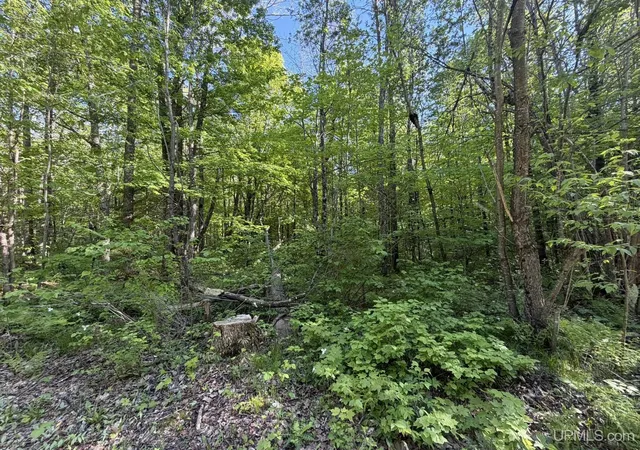 5th image of Tbd Dream Lake Rd Lot 7 Rd, Tipler Wi, WI 54542 | MLS# 50210032