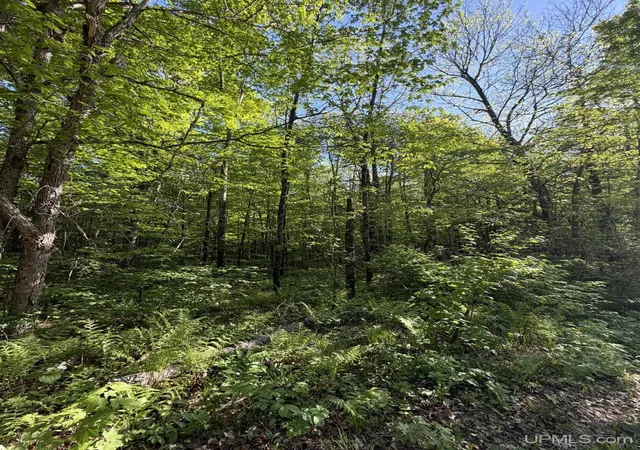 7th image of Tbd Dream Lake Rd Lot 7 Rd, Tipler Wi, WI 54542 | MLS# 50210032