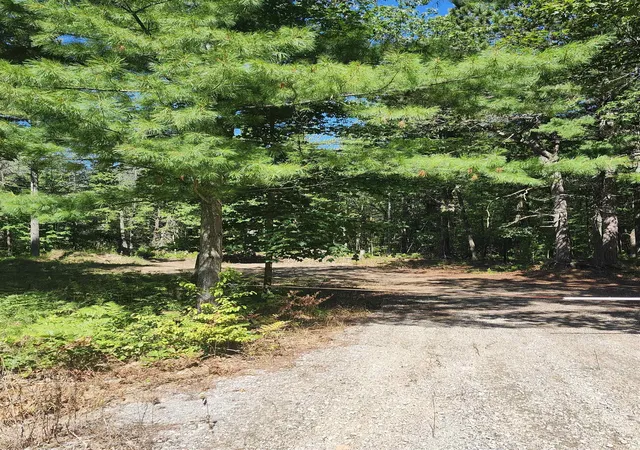 Homes for sale in East Tawas, MI | 0 E Lincoln St, East Tawas, MI 48763 | MLS# 80061059