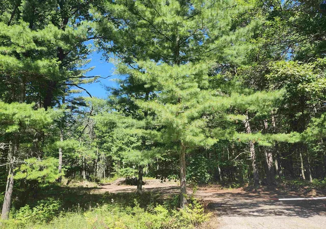Homes for sale in East Tawas, MI | 0 E Lincoln St, East Tawas, MI 48763 | MLS# 80061059