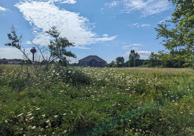 Photo 1 of Land for sale at 0 S Court St, Au Gres, MI 48703 | MLS# 80011082 | Listing updated on 2026-10-08