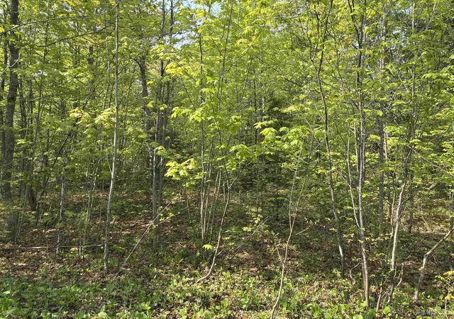 Homes for sale in Hancock, MI | Tbd B Gorton Rd, Hancock, MI 49930 | MLS# 50172818