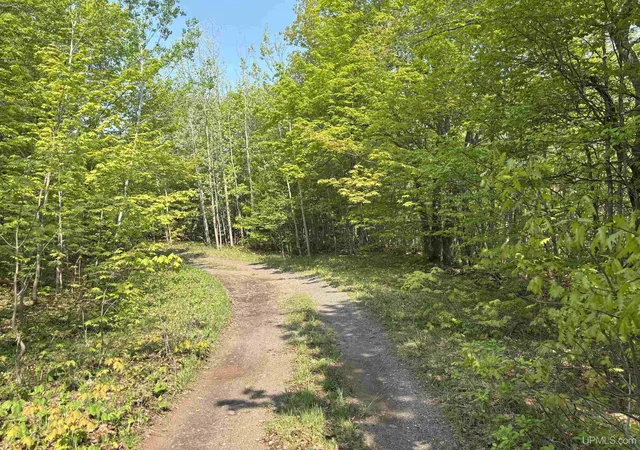 Homes for sale in Hancock, MI | Tbd B Gorton Rd, Hancock, MI 49930 | MLS# 50172818