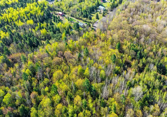 Homes for sale in Hancock, MI | Tbd B Gorton Rd, Hancock, MI 49930 | MLS# 50172818