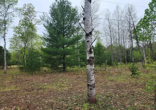Homes for sale in Interlochen, MI | Hall Creek Rd, Interlochen, MI 49643 | MLS# 70522183