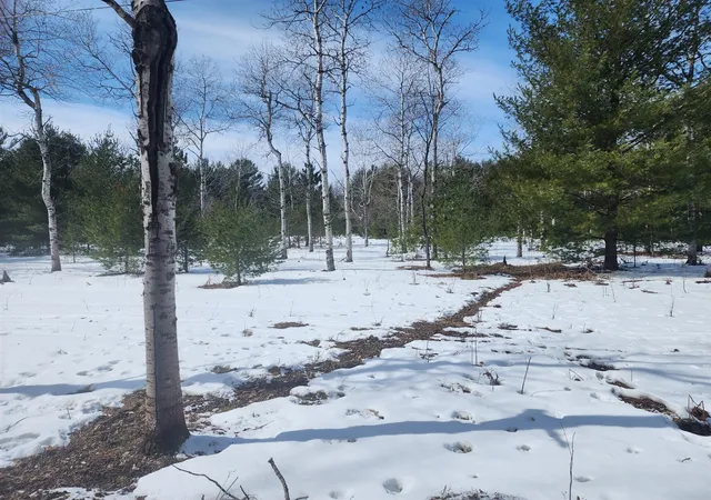 Homes for sale in Interlochen, MI | Hall Creek Rd, Interlochen, MI 49643 | MLS# 70522183
