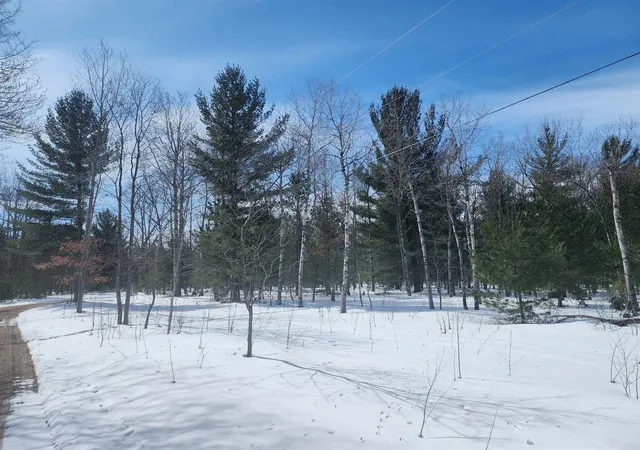 Homes for sale in Interlochen, MI | Hall Creek Rd, Interlochen, MI 49643 | MLS# 70522183